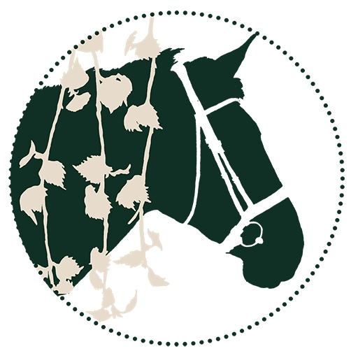 Terapia Koivula